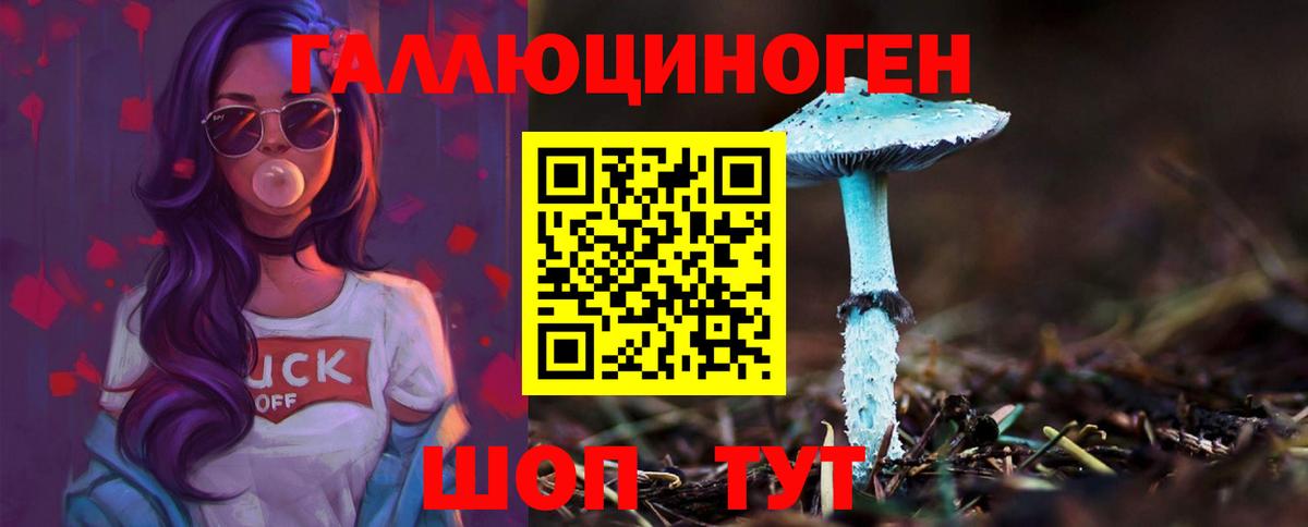 где продают наркотики  Вход с VPN  Калининград  Галлюциногенные грибы Cubensis 