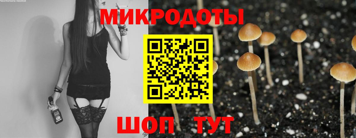 Галлюциногенные грибы ЛСД Калининград